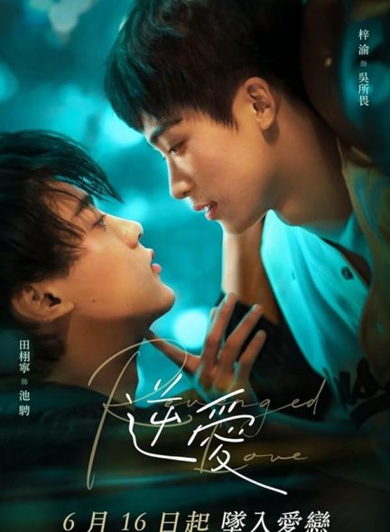 دانلود سریال  Revenged Love